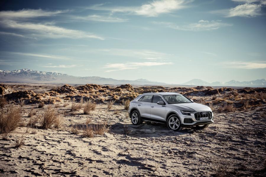  Audi Q8 50 TDI Quattro 2018 года  (WW) (фото 19 из 25)